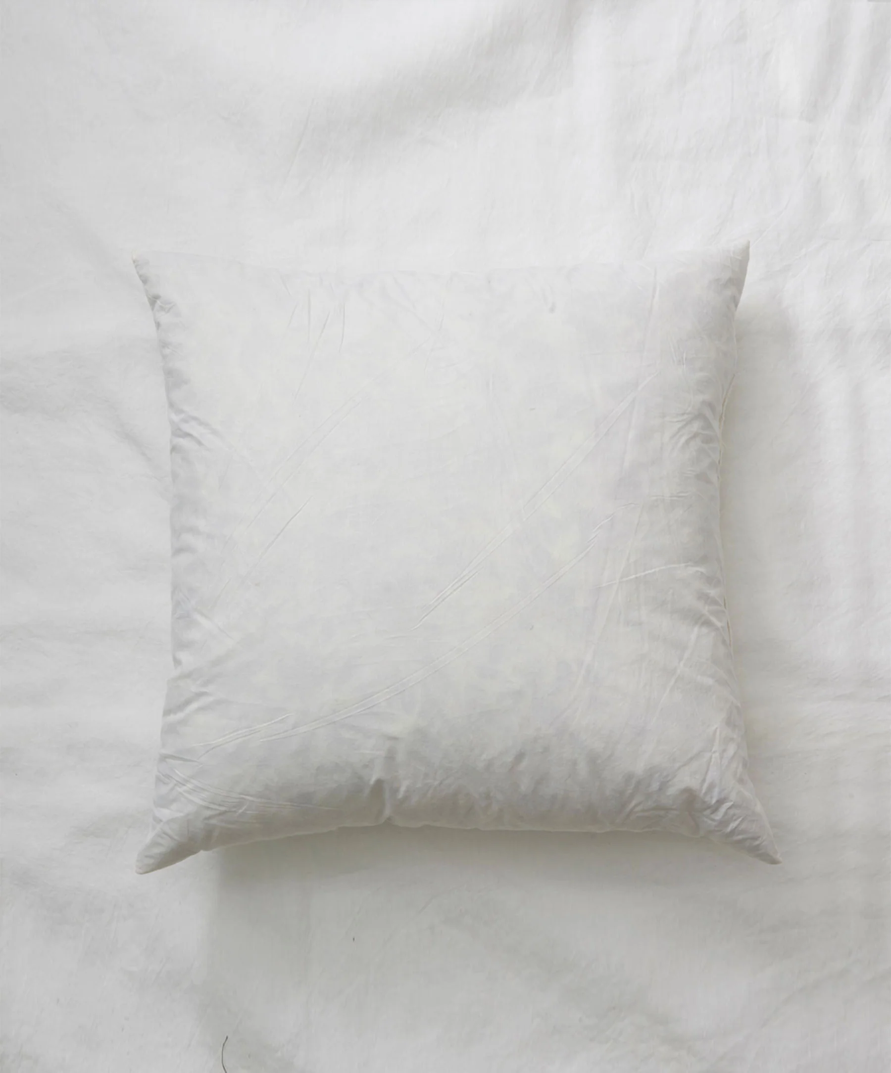 Cushion Insert Square